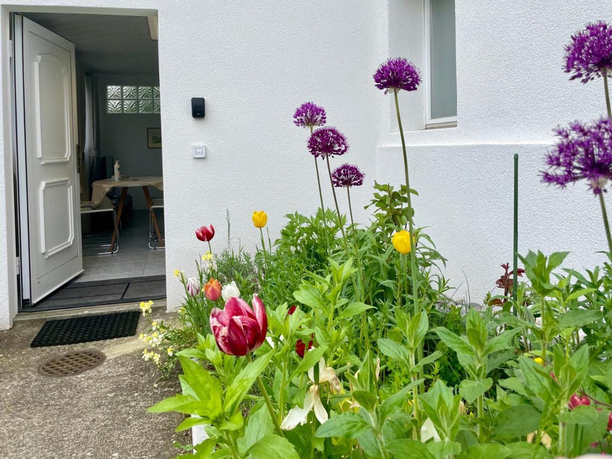 Studio In Stadtnaehe Zuerich Mit Guter Verkehrsanbindung Adliswil Esterno foto