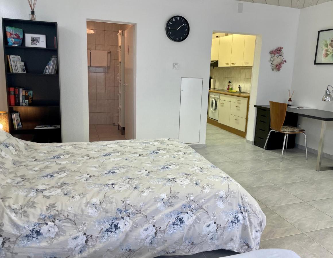 Studio In Stadtnaehe Zuerich Mit Guter Verkehrsanbindung Adliswil Esterno foto